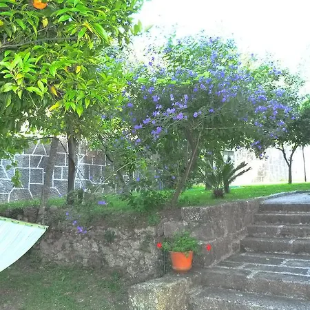 Quinta Senhora Do Crasto 홈스테이 Deocriste