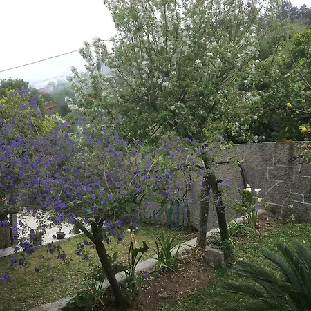 홈스테이 Quinta Senhora Do Crasto Deocriste